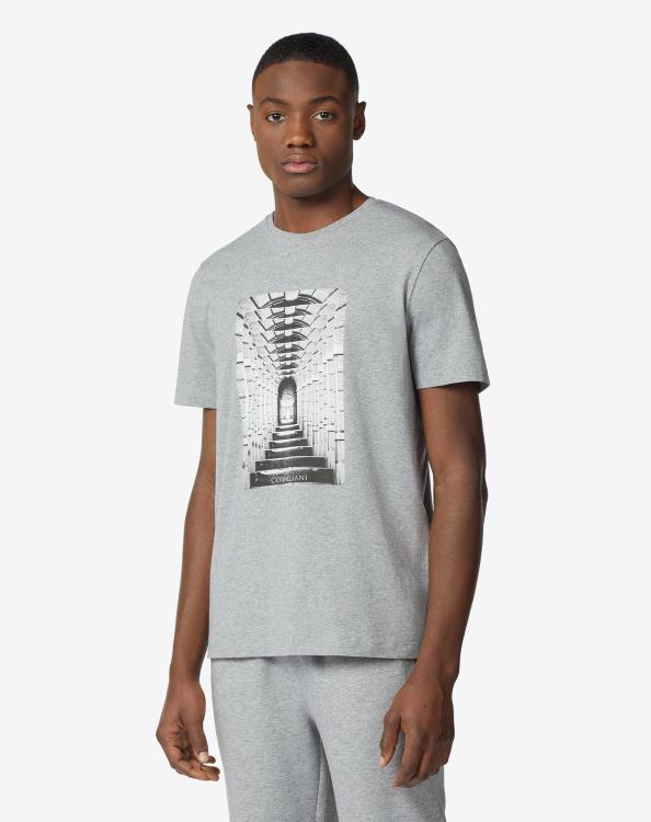 J6HDZ286 γκρί άνδρες είδη ένδυσης Corneliani βαμβακερό μπλουζάκι με στάμπα